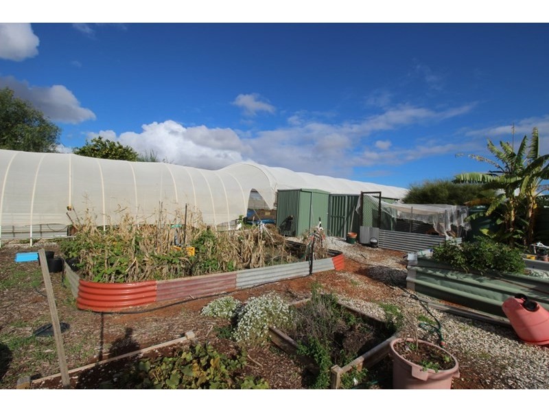 188 Medley Road, Waikerie SA 5330