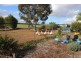 188 Medley Road, Waikerie SA 5330