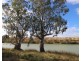 3889 Murraylands Road, Blanchetown SA 5357