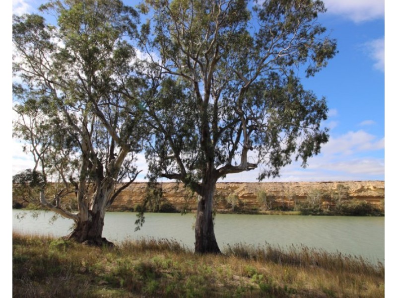 3889 Murraylands Road, Blanchetown SA 5357