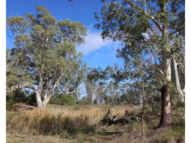 3889 Murraylands Road, Blanchetown SA 5357