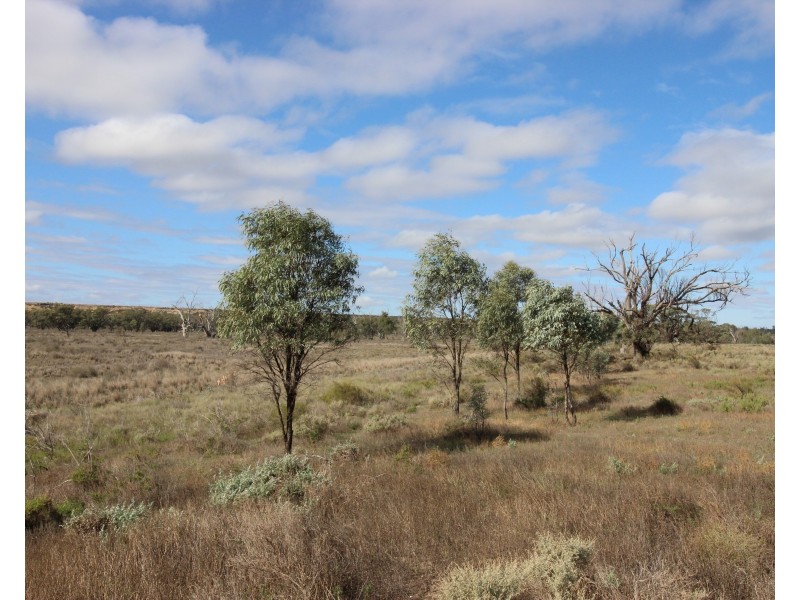 3889 Murraylands Road, Blanchetown SA 5357