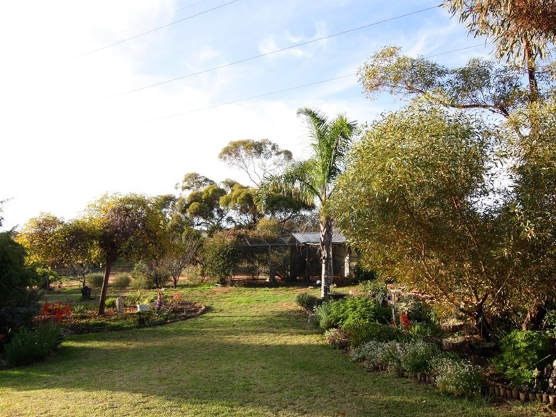 28 Raeder Court, Berri SA 5343