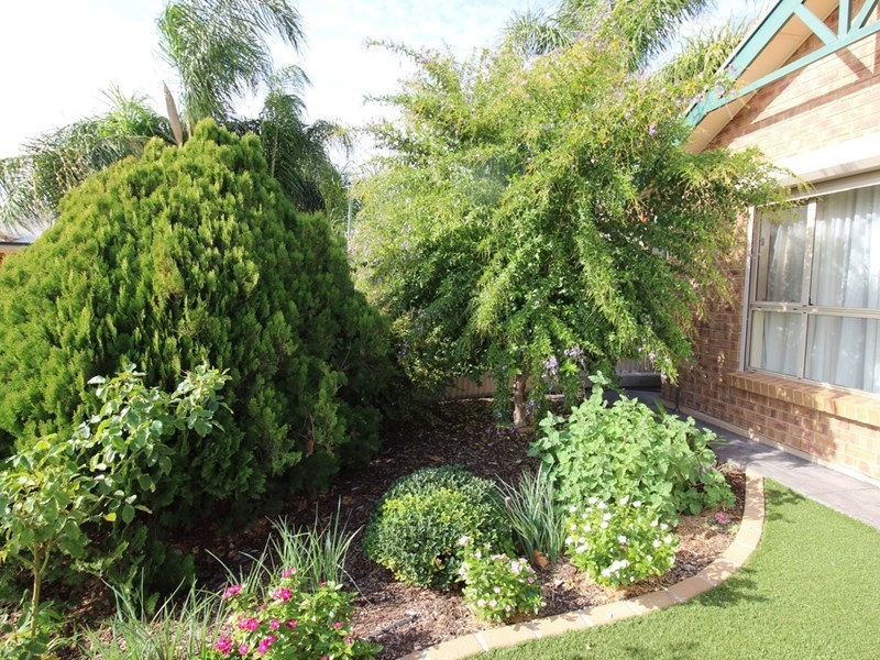 22 Edwards Crescent, Waikerie SA 5330