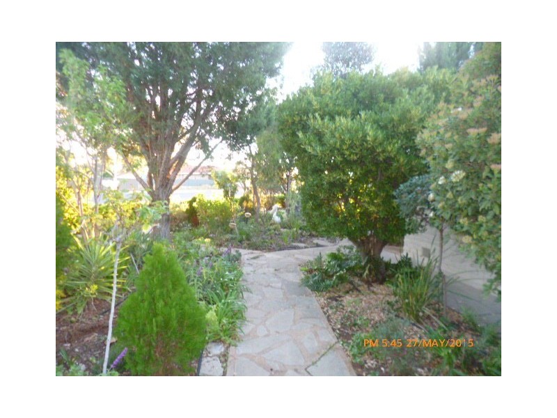 29 Scotts Avenue, Barmera SA 5345