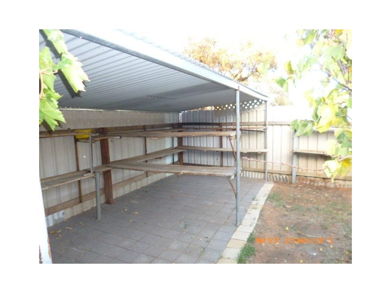 29 Scotts Avenue, Barmera SA 5345