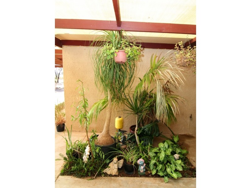 44 Davidson Road, Barmera SA 5345