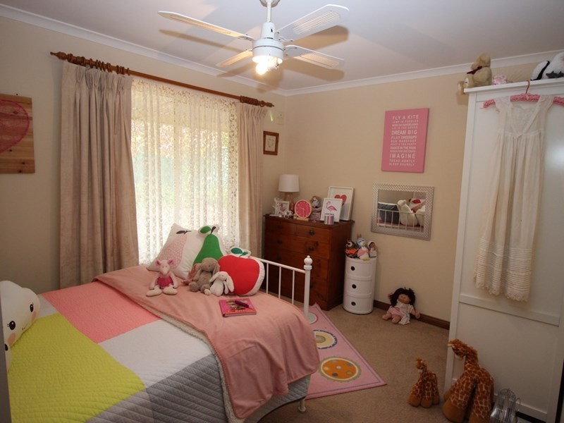 31 Fechner Road, Waikerie SA 5330