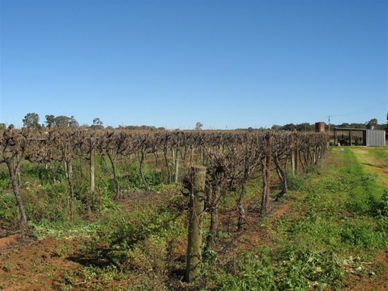 2 and 3 233 Pfeiffer Road, Barmera SA 5345