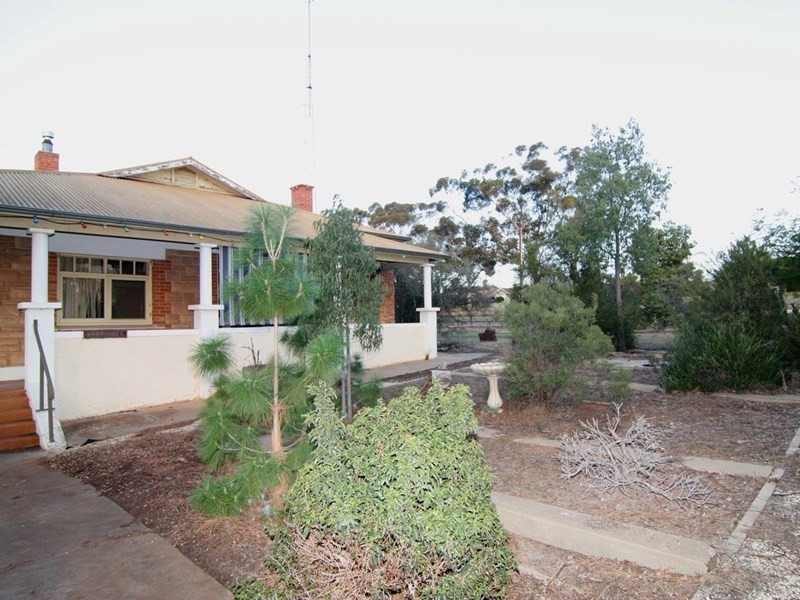 1 Ritchie Street, Barmera SA 5345