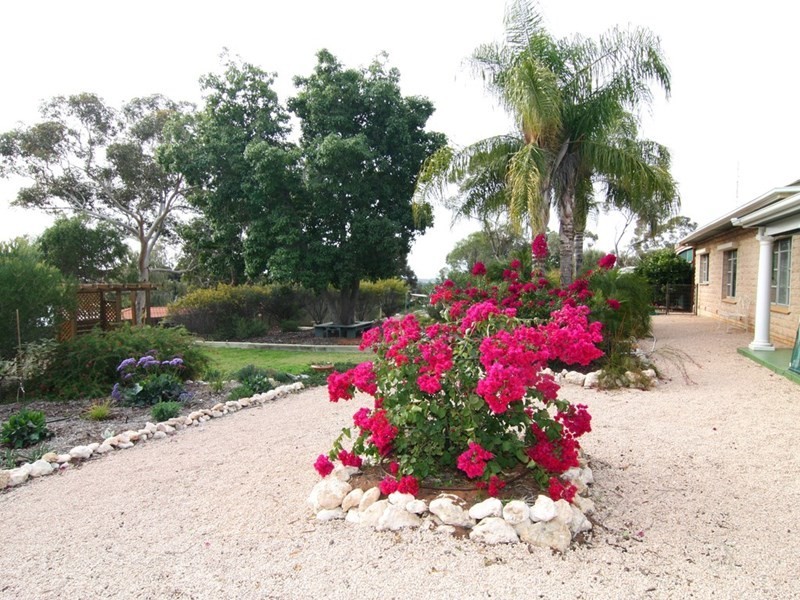 57 Derrick Street, Berri SA 5343