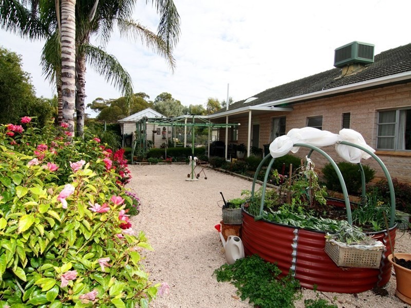 57 Derrick Street, Berri SA 5343