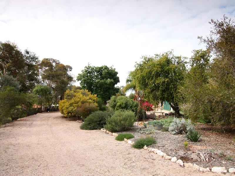 57 Derrick Street, Berri SA 5343