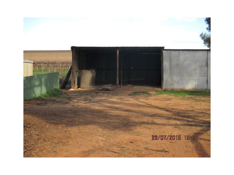 228 Fairweather Avenue, Loxton SA 5333