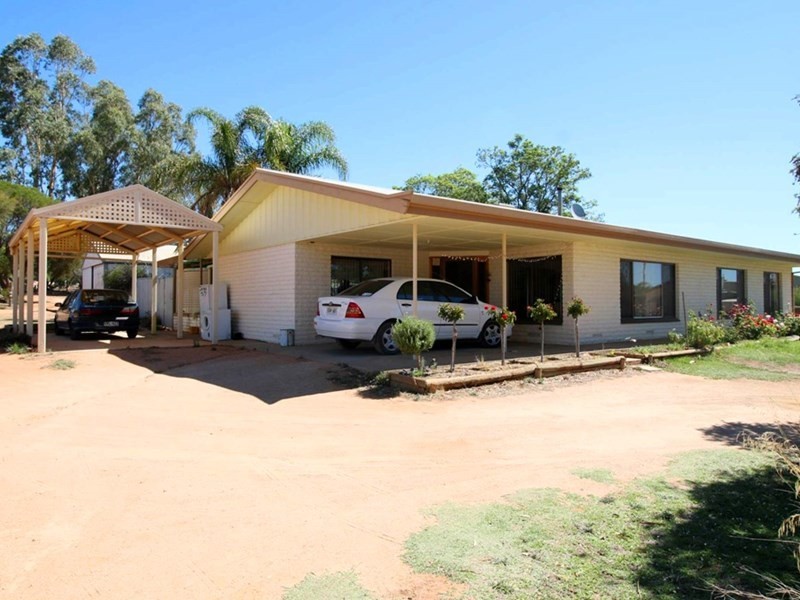 6 Cockin Road, Barmera SA 5345