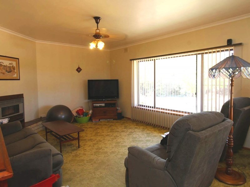 6 Cockin Road, Barmera SA 5345