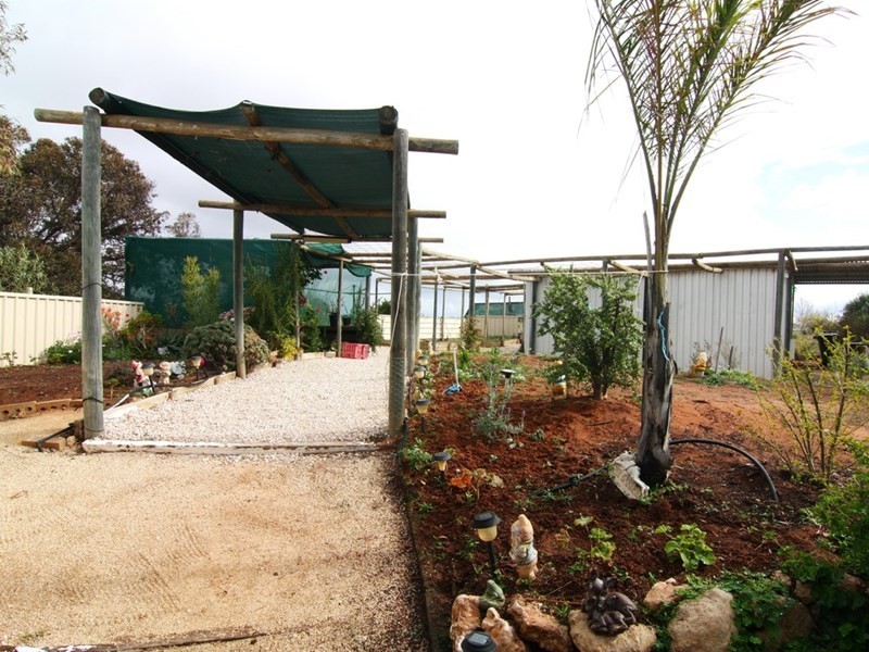 13 Farley Road, Kingston On Murray SA 5331