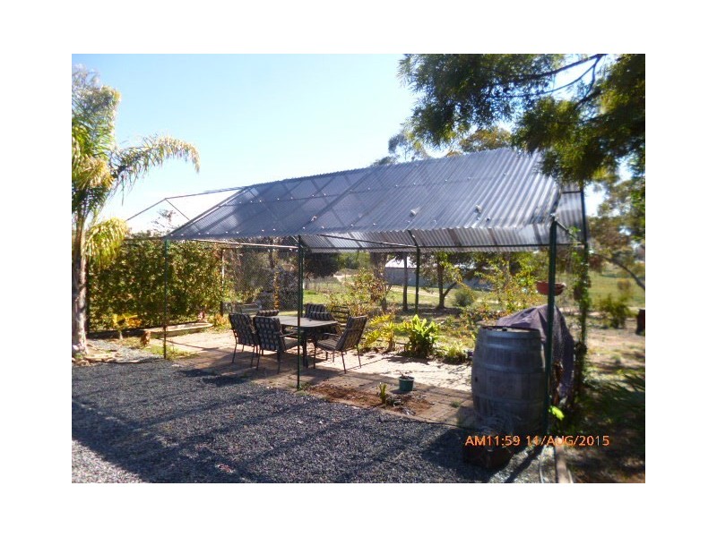 187 Thompson Road, Waikerie SA 5330