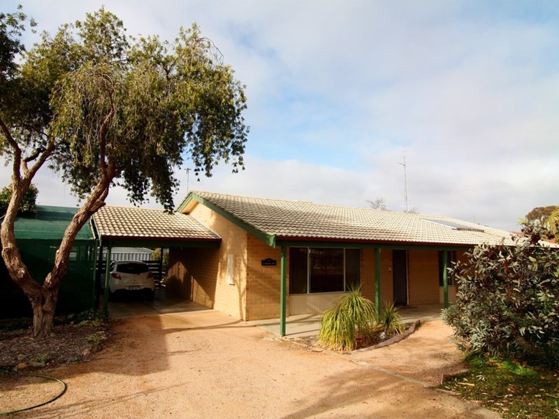 22 Scott Avenue, Barmera SA 5345