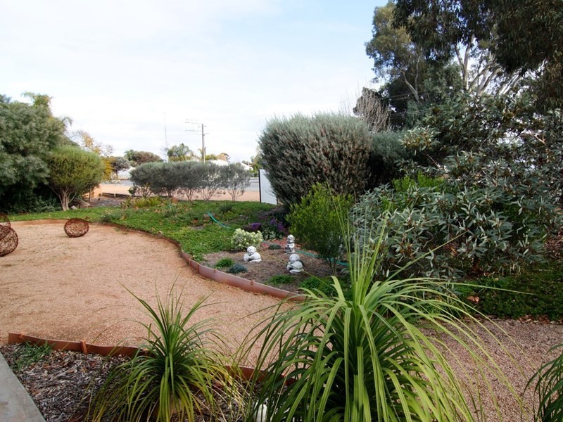 22 Scott Avenue, Barmera SA 5345