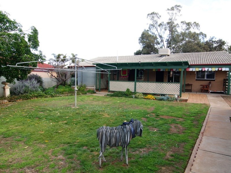 22 Scott Avenue, Barmera SA 5345