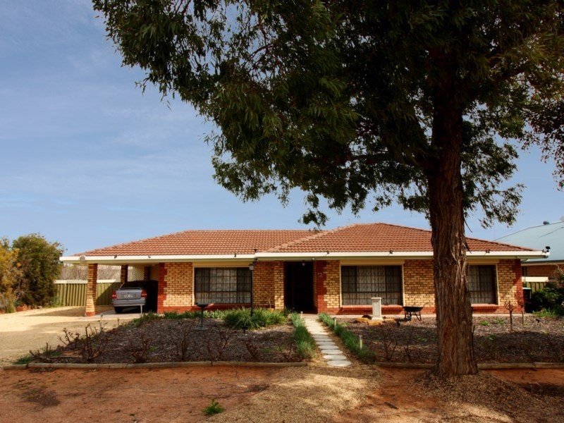 12 Beames Road, Lyrup SA 5343