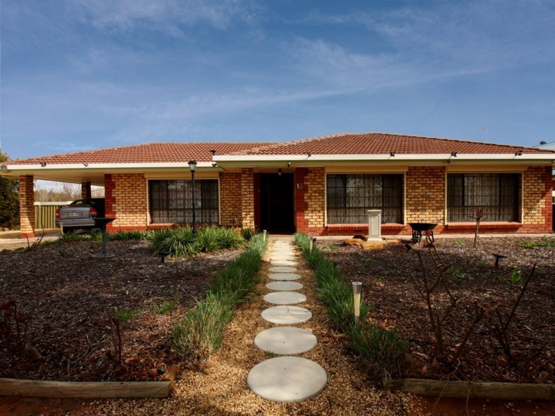 12 Beames Road, Lyrup SA 5343