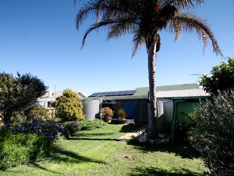 31 Fowles Street, Barmera SA 5345