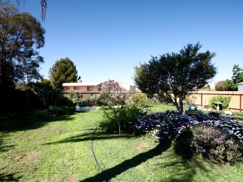 31 Fowles Street, Barmera SA 5345