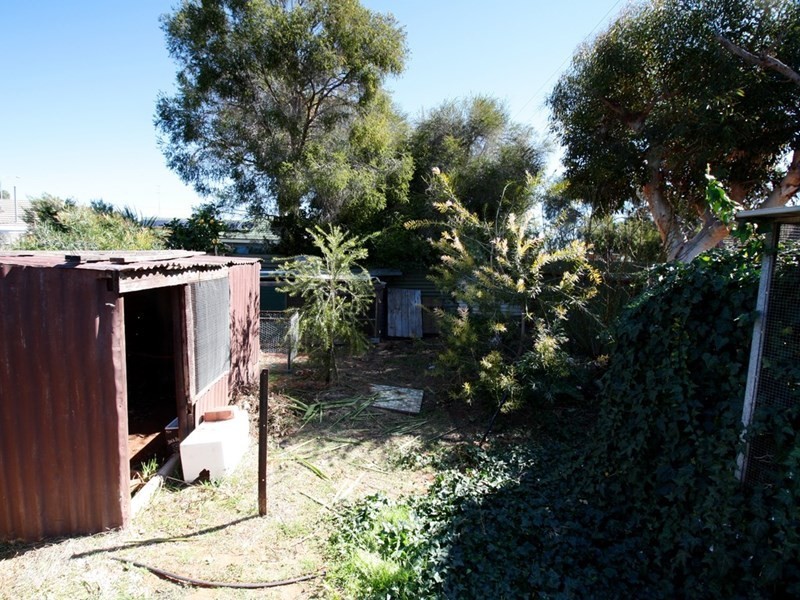 31 Fowles Street, Barmera SA 5345