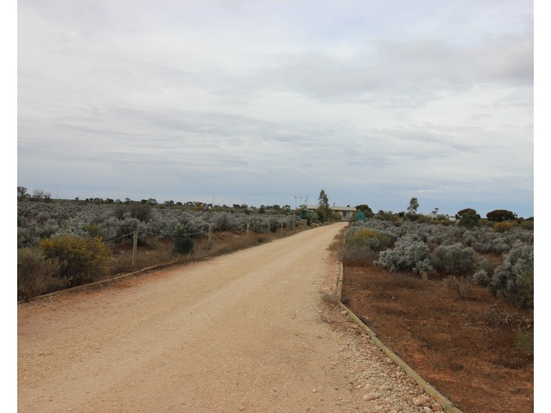 132 Slaughterhouse Road, Morgan SA 5320