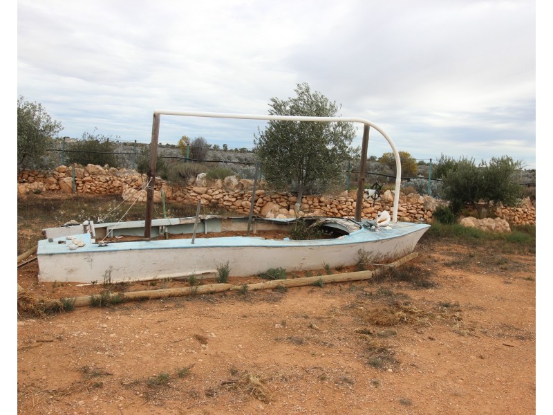 132 Slaughterhouse Road, Morgan SA 5320