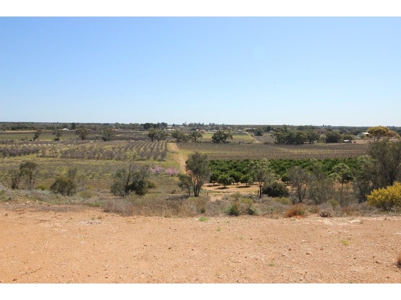 467 Mackintosh Road, Cadell SA 5321