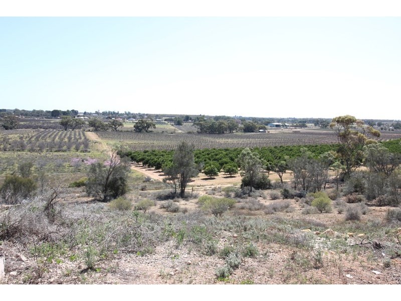 467 Mackintosh Road, Cadell SA 5321