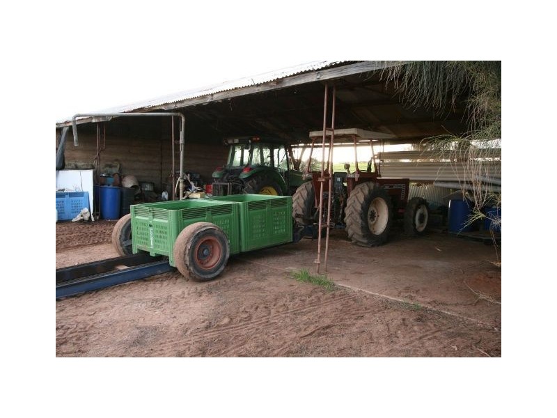 4 Lots on Devlin Pound Road, Waikerie SA 5330