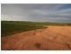 4 Lots on Devlin Pound Road, Waikerie SA 5330