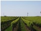 184 Caddy Road, Barmera SA 5345