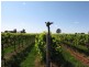 184 Caddy Road, Barmera SA 5345