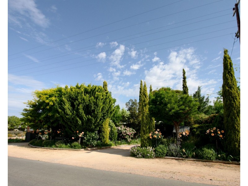16 Pomroy Crescent, Lyrup SA 5343