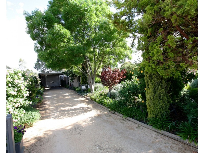 16 Pomroy Crescent, Lyrup SA 5343