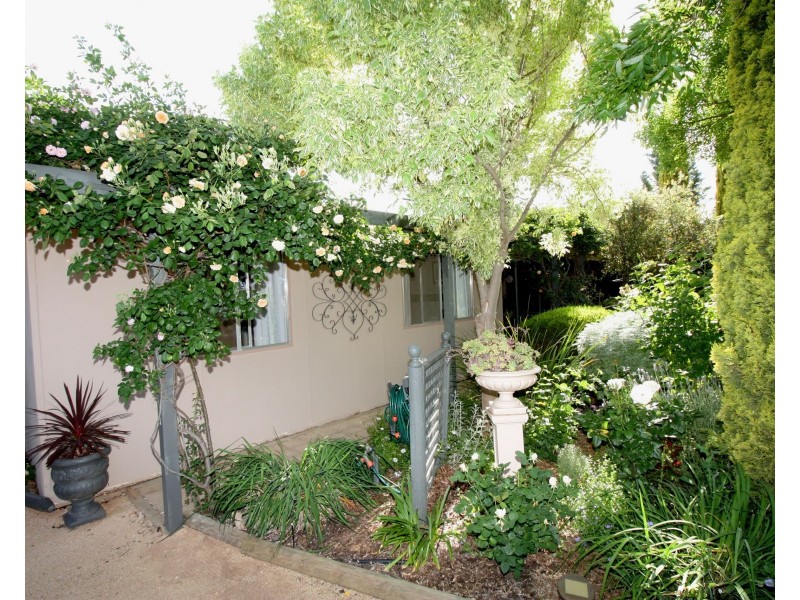 16 Pomroy Crescent, Lyrup SA 5343