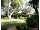 16 Pomroy Crescent, Lyrup SA 5343