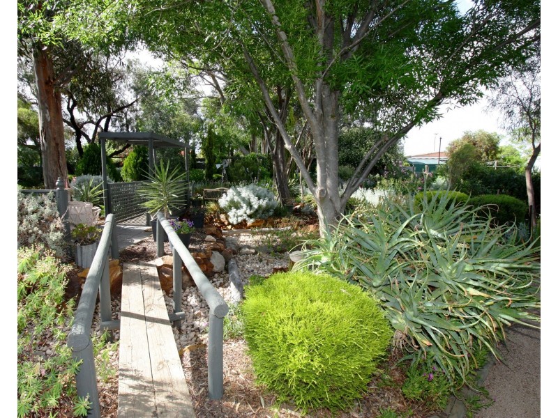 16 Pomroy Crescent, Lyrup SA 5343