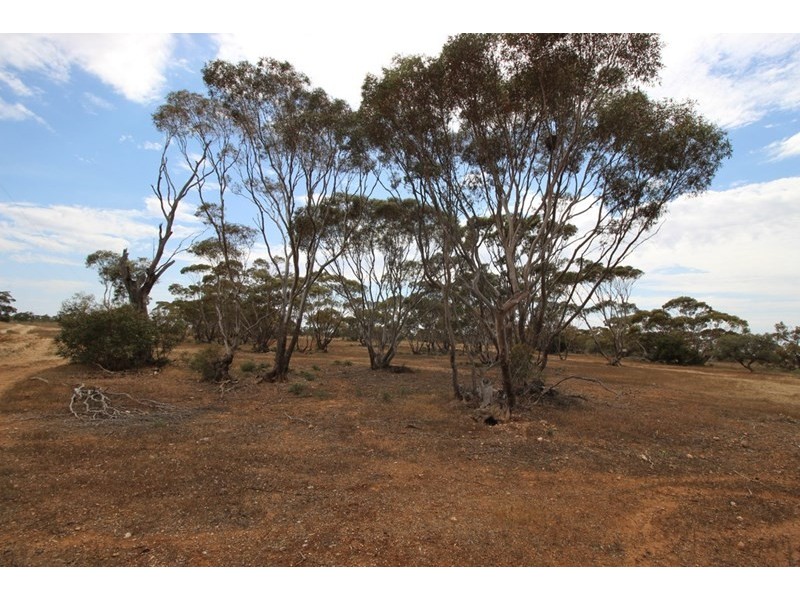 Sec 119 Old Coach Road, Blanchetown SA 5357