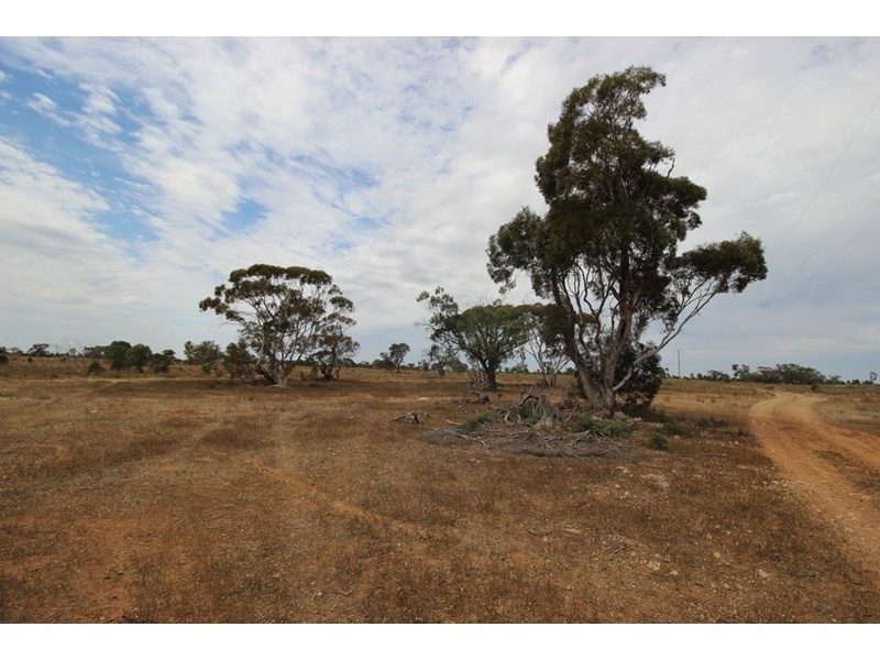 Sec 119 Old Coach Road, Blanchetown SA 5357