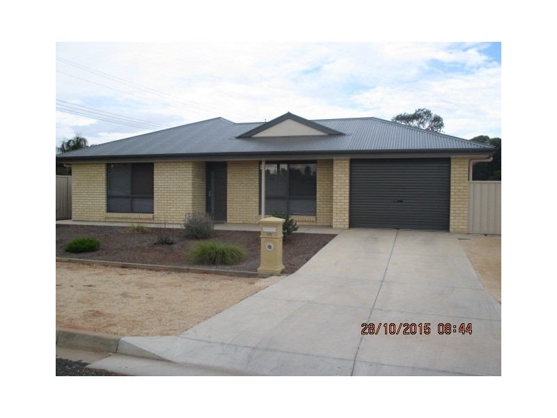 36 Sturt Street, Loxton SA 5333