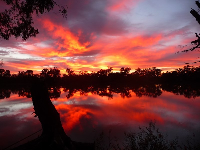 92 Pontt Road, Pyap SA 5333