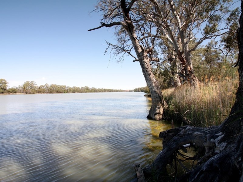 92 Pontt Road, Pyap SA 5333