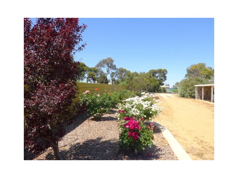 193 French Road, Loxton North SA 5333