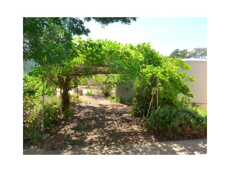 193 French Road, Loxton North SA 5333